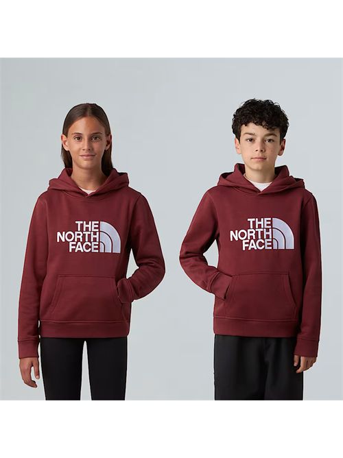  THE NORTH FACE | NF0A8EHH/0VO1